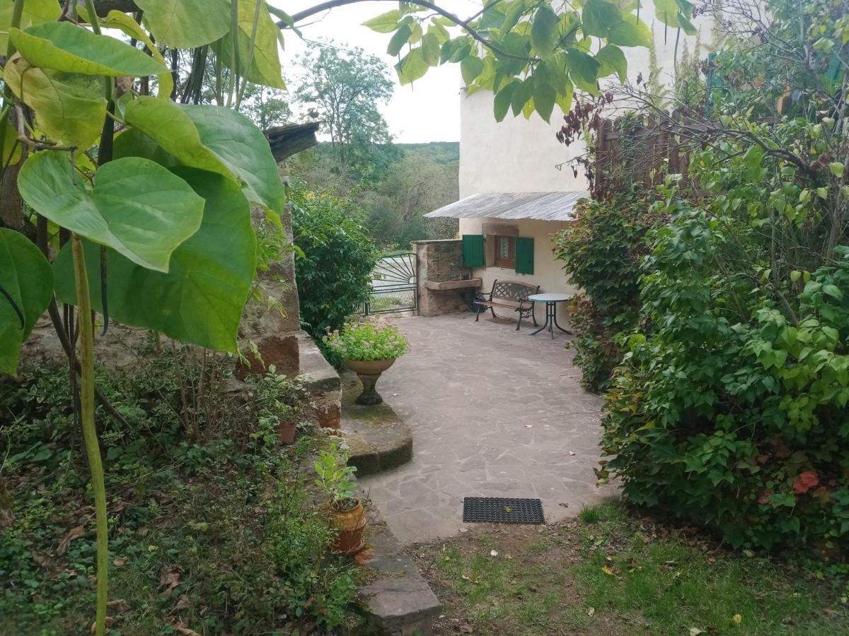 Salles  Maison Avec Jardin Entre Cordes/Ciel Et Monesties מראה חיצוני תמונה